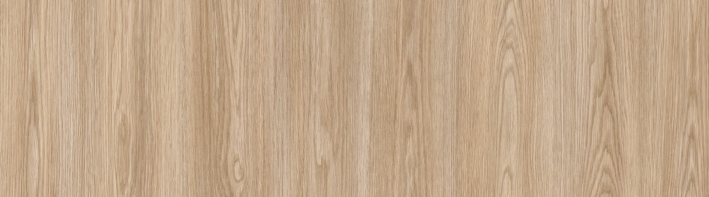 Zeno Oak